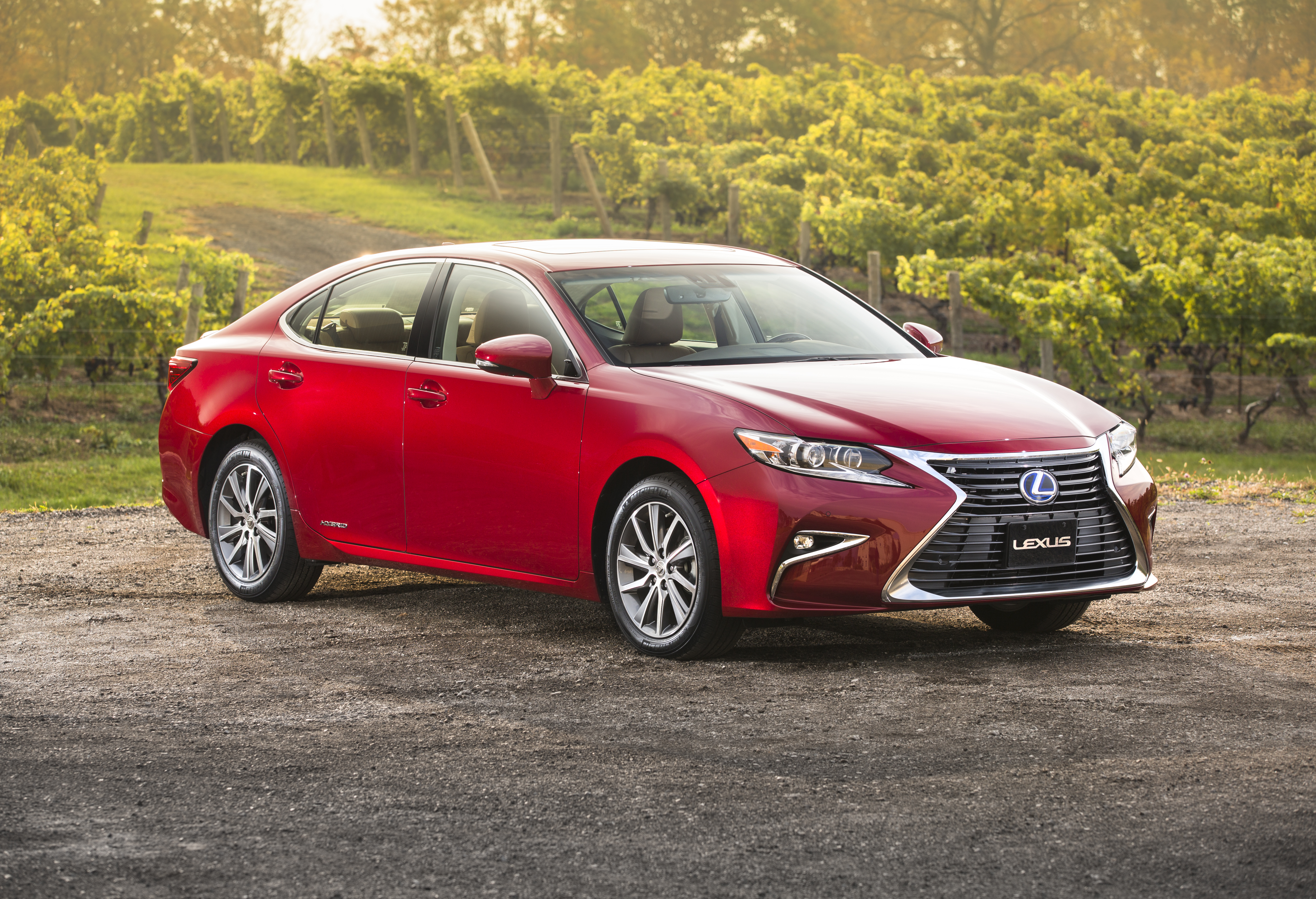 2016_Lexus_ES300h-1